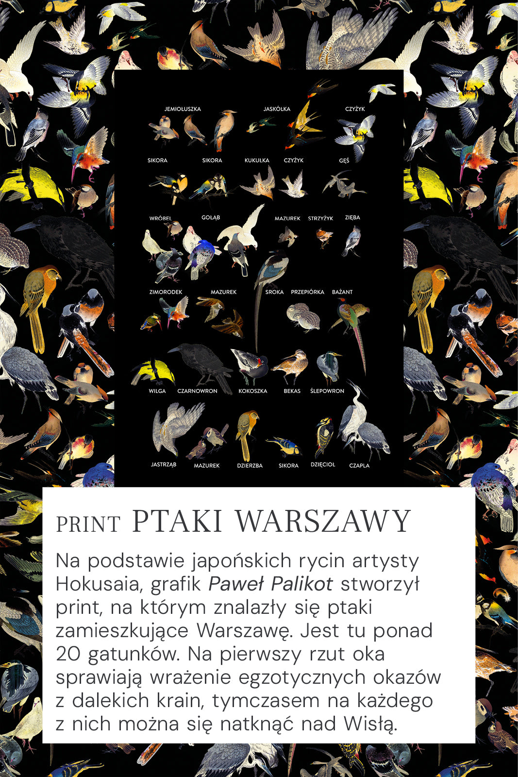 Dress KLIN LADY birds of Warsaw print