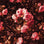 print risk'n'roses rusty