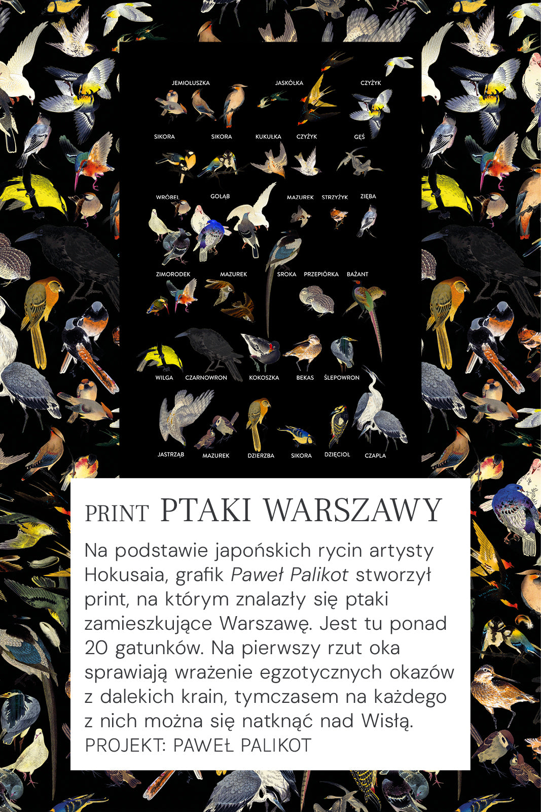Sukienka SIMPLY ME print ptaki Warszawy